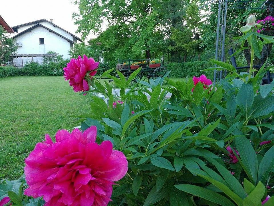 B&B Villa Una Bihać Exterior foto